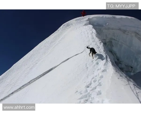 突破极限，创下全球纪录：探索世界纪录背后的故事与挑战