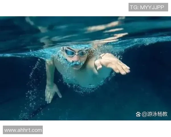 自由泳初学者快速入门技巧与训练方法提升游泳水平的实用指南