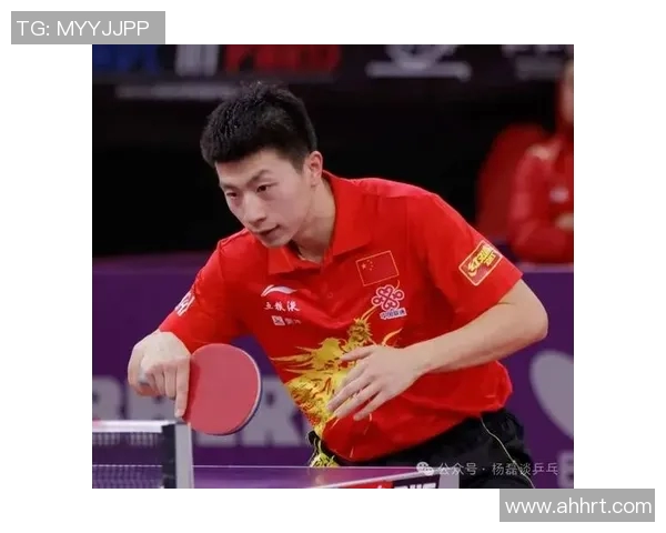 杨磊独家分享乒乓球技巧与心得助你提升球技的全面指南